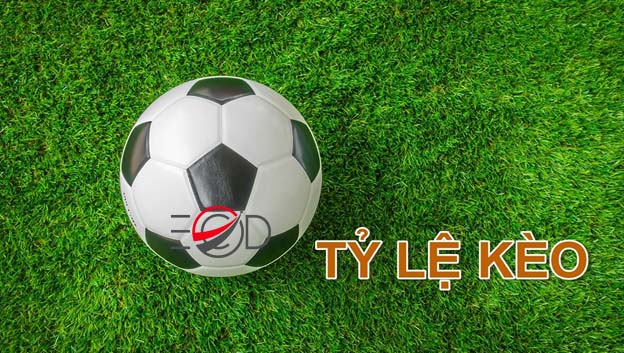 bang ty le keo ca cuoc trong bong da va nhung dieu can biet 2 Cùng Dafabet tìm hiểu kèo châu á