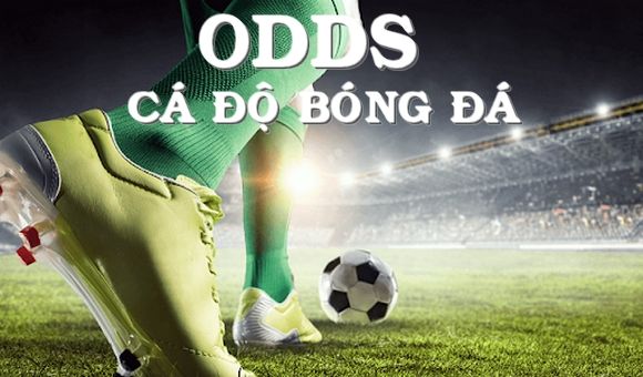 dinh nghia ve odds Tìm hiểu về Odds hay tỷ lệ Odds tại Dafabet VIP