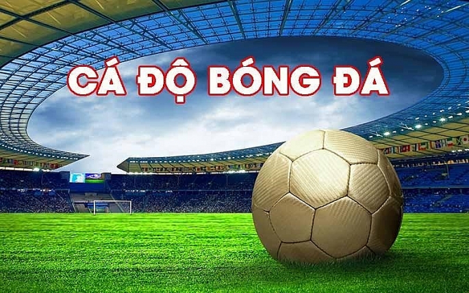 keo tx 3 trai Nên lựa chọn những nhà cái uy tín để tham gia