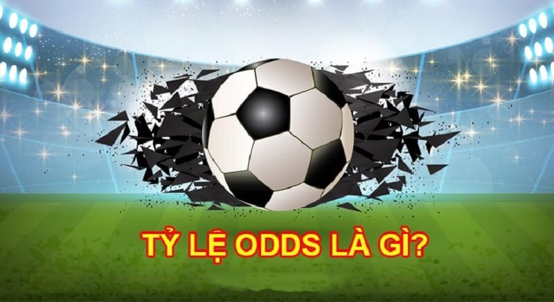 odds la gi Tỷ lệ Odds có vai trò rất lớn