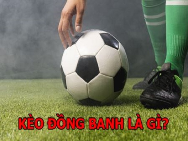 tim hieu ve keo dong banh nua trai la gi 2 Nắm rõ luật chơi sẽ giúp các bạn có cơ hội kiếm thêm tiền