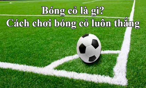 1646731290 ptf kinh nghiệm Bóng cỏ