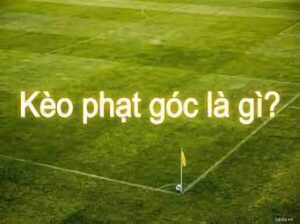 20230307 bccc34be7d82b6e9b240fd4a50a2fa5b 1678206367 Kèo phạt góc là hình thức xác định kết quả chung cuộc của người cược