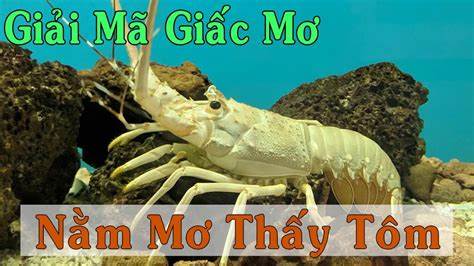 OIP 2 1 Giải mã giấc mơ thấy tôm báo hiệu điềm gì
