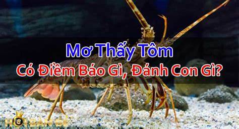 OIP 3 1 Nằm mơ thấy tôm đánh con lô gì trúng lớn