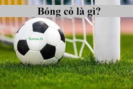 images 18 Bóng cỏ là gì?