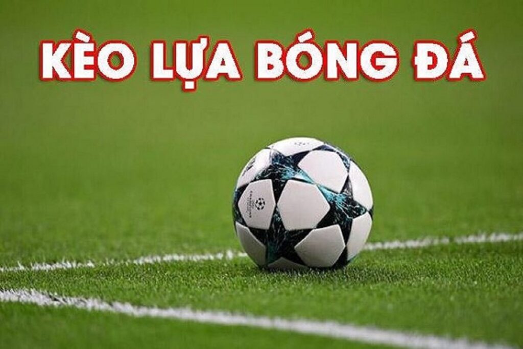 keo lua la gi 1 Các lưu ý khi cá cược kèo giao bóng trước tại nhà cái Dafabet